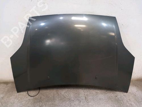 hood-ford-fiesta-v-jh_-jd_-2001-2002-2003-2004-2005-2006-2007-2008-2009-2010-2011-2012-2013-2014-30419623 main image