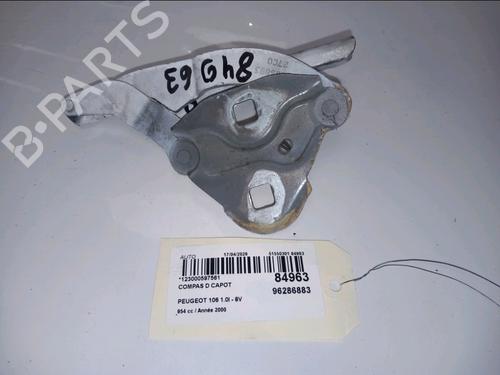 Used Hinge/Door check strap Hinge/Door check strap PEUGEOT 106 II (1A_, 1C_) 1.0 i (50 hp) 34112642 34112642