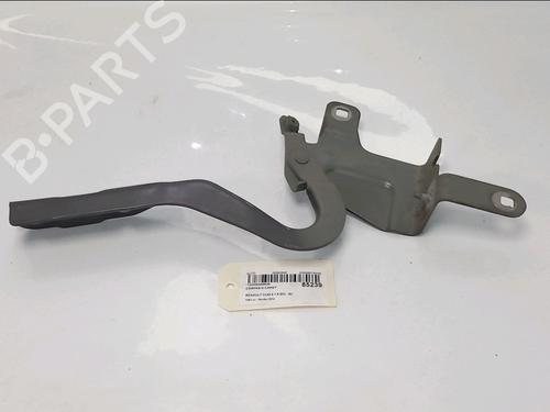 hingedoor-check-strap-renault-clio-iv-bh_-2012-2013-2014-2015-2016-2017-2018-2019-2020-2021-34362942 main image