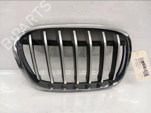 Grill BMW X1 (F48) sDrive 18 d (150 hp) 30843018