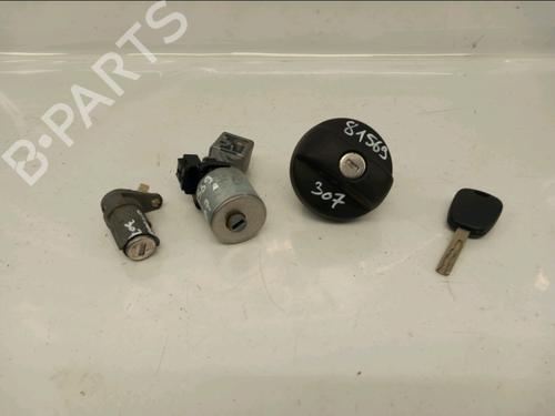 electronic-module-peugeot-307-3ac-2000-2001-2002-2003-2004-2005-2006-2007-2008-2009-2010-2011-2012-31798662 main image