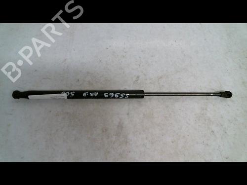Used Tailgate lift support FIAT 500 (312_) 1.2 (312AXA1A) (69 hp) 30414543