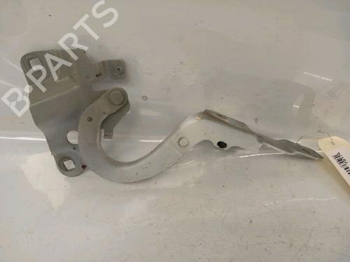 Dørhængsel/Dørbegrænser RENAULT ZOE (BFM_) ZOE (88 hp) 30416788