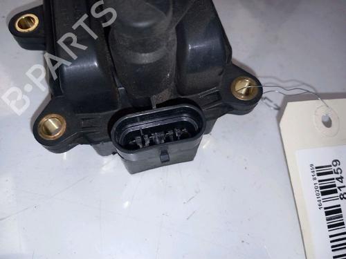 Bobine RENAULT TWINGO II (CN0_) 1.2 16V (CN04, CN0B) | BP30416495M94