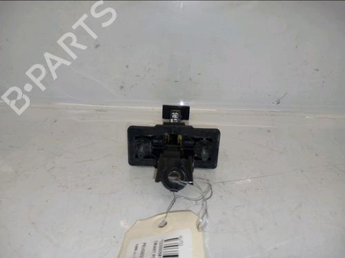 Hinge/Door check strap PEUGEOT 3008 II SUV (MC_, MR_, MJ_, M4_) 1.5 BlueHDi 130 | BP32007488C146