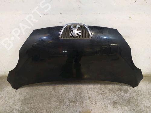 hood-peugeot-107-pm_-pn_-2005-2006-2007-2008-2009-2010-2011-2012-2013-2014-2015-2016-30424709 main image