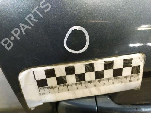 Right front door CITROËN C4 Picasso I MPV (UD_) 2.0 HDi 138 | BP30426442C3