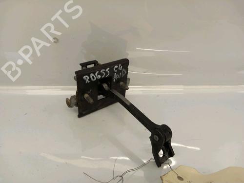 hingedoor-check-strap-citroen-c4-ii-nc_-2009-30431898 main image