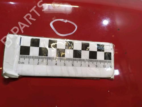 Hood FIAT PANDA (169_) 1.2 (169AXF2A, 169AXF1A) | BP30424924C1