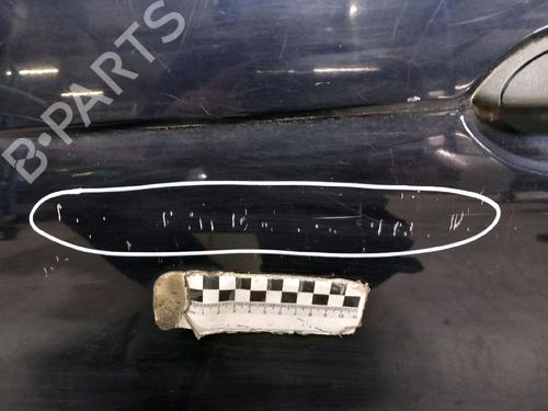 Left front door RENAULT SCÉNIC I MPV (JA0/1_, FA0_) 1.6 (JA00, JA16, JA15, JA19, JA1V, JA2B, JA2C, JA0B,... | BP30416177C2