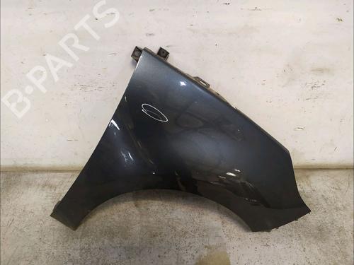 Used Right front fenders RENAULT SCÉNIC III (JZ0/1_) 1.5 dCi (110 hp) 30426091