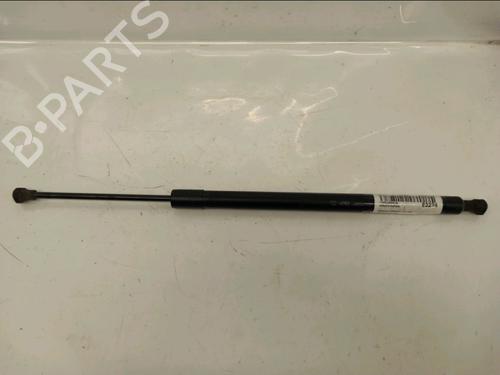 Used Tailgate lift support RENAULT MODUS / GRAND MODUS (F/JP0_) 1.2 (JP0C, JP0K, FP0C, FP0K, FP0P, JP0P, JP0T) (75 hp) 32040533