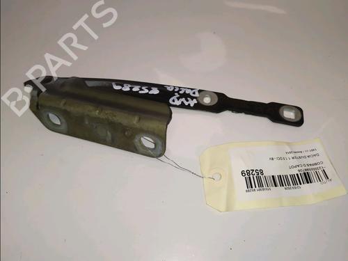 hingedoor-check-strap-dacia-duster-hs_-2010-2011-2012-2013-2014-2015-2016-2017-2018-33111669 main image