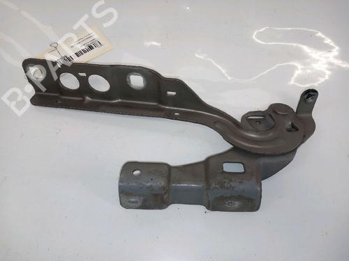 Hinge/Door check strap CITROËN C4 II (NC_) 1.6 BlueHDi 100 | BP30431894C146