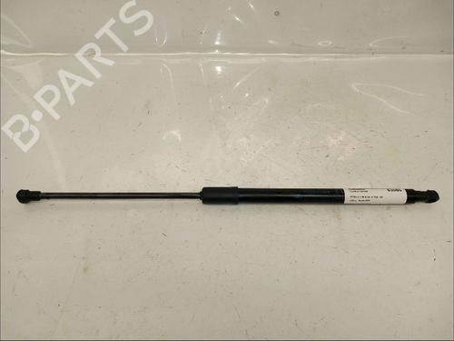 Used Tailgate lift support RENAULT SCÉNIC IV (J9_) 1.3 TCe 140 (140 hp) 30434583