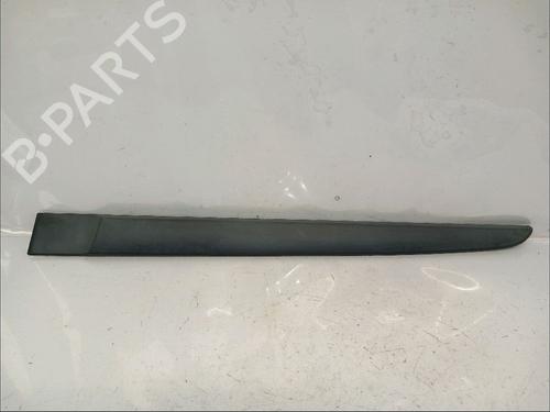 door-moulding-trim-renault-grand-scenic-ii-jm01_-2004-2005-2006-2007-2008-2009-30425219 main image