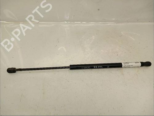 Used Tailgate lift support RENAULT SCÉNIC II (JM0/1_) 1.9 dCi (JM14) (131 hp) 30413397