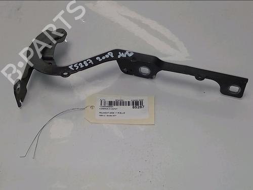 hingedoor-check-strap-peugeot-2008-i-cu_-2013-34362940 main image