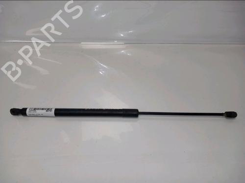 tailgate-lift-support-ford-s-max-wa6-2006-2007-2008-2009-2010-2011-2012-2013-2014-36253027 main image