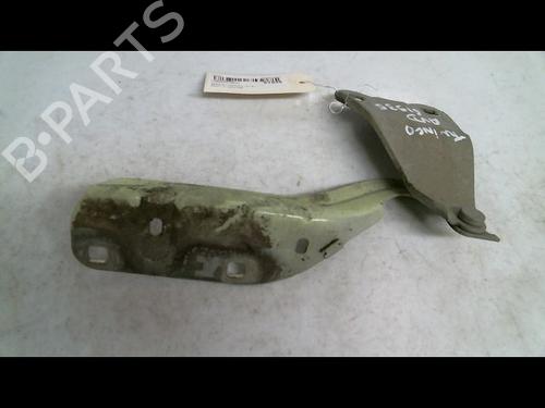 Hinge/Door check strap RENAULT TWINGO II (CN0_) 1.2 16V (CN0K, CN0V, CN0A) | BP30413804C146