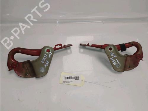 hingedoor-check-strap-renault-clio-iii-br01-cr01-2005-2006-2007-2008-2009-2010-2011-2012-2013-2014-38345109 main image