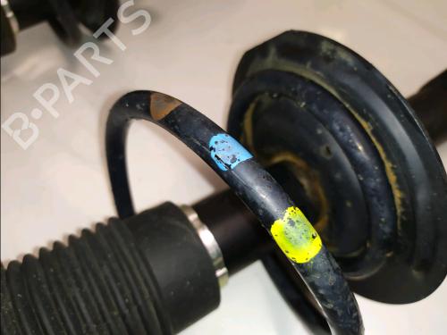 Right front shock absorber FIAT PANDA (169_) 1.2 (169AXF2A, 169AXF1A) | BP40522909M17 - Image 2