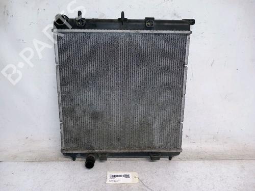 Used Water radiator PEUGEOT 207 (WA_, WC_) 1.4 HDi (68 hp) 30419639