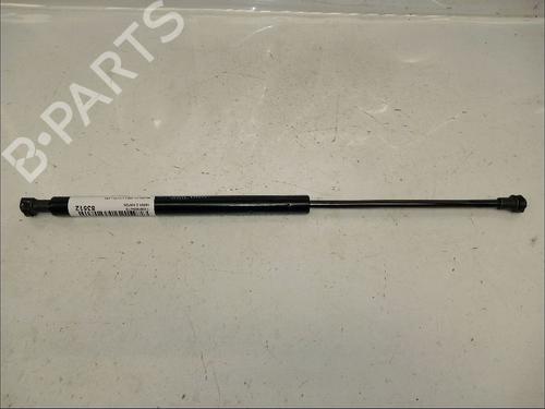 Gassdemper Bakluke PEUGEOT 308 I (4A_, 4C_) 1.6 HDi (109 hp) 30421518