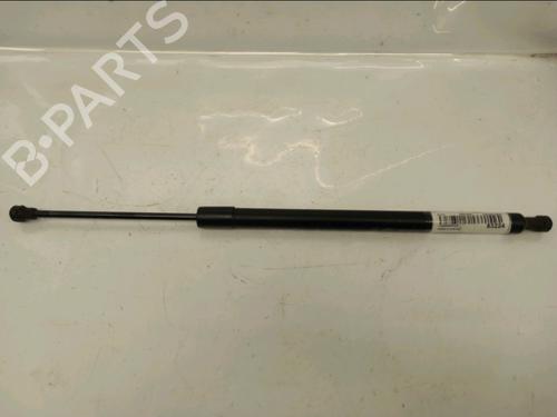tailgate-lift-support-renault-modus-grand-modus-fjp0_-2004-32040532 main image