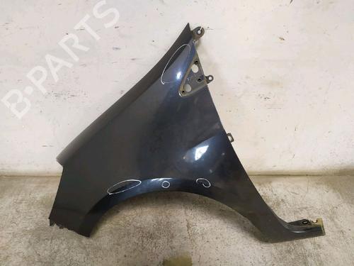 left-front-fenders-renault-clio-iii-br01-cr01-2005-2006-2007-2008-2009-2010-2011-2012-2013-2014-30428609 main image