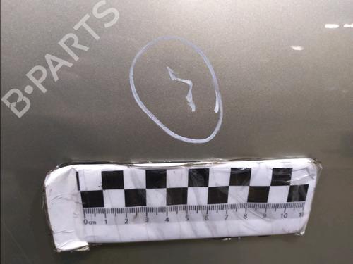 Dør højre bagtil DACIA SANDERO 1.2 16V | BP31326814C5 - Image 3