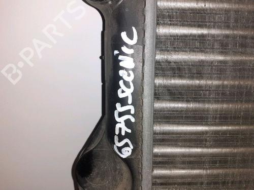 Water radiator RENAULT SCÉNIC I MPV (JA0/1_, FA0_) 1.6 (JA00, JA16, JA15, JA19, JA1V, JA2B, JA2C, JA0B,... | BP30416181M31
