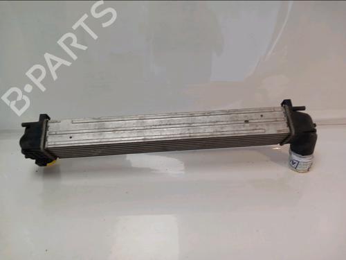 Intercooler RENAULT SCÉNIC III (JZ0/1_) 1.2 TCe (JZ16) | BP39088185M30 - Image 4