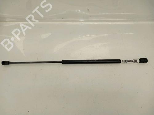 Gasdæmper bagklap RENAULT SCÉNIC I MPV (JA0/1_, FA0_) 1.9 dCi (JA05, JA1F) (102 hp) 30418154