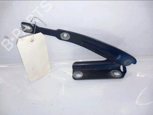 hingedoor-check-strap-dacia-lodgy-js_-2012-31822181 main image