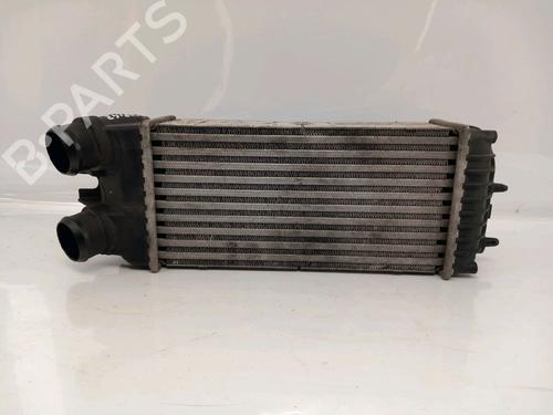 Outra CITROËN XSARA PICASSO (N68) 1.6 HDi (109 hp) 30421788