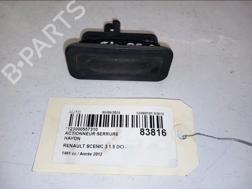 Module électronique RENAULT SCÉNIC III (JZ0/1_) 1.5 dCi (110 hp) 30958053