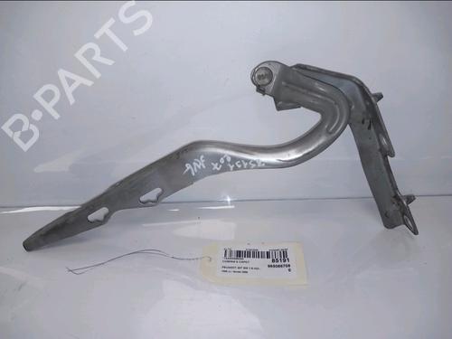 hingedoor-check-strap-peugeot-207-sw-wk_-2007-2008-2009-2010-2011-2012-2013-34206732 main image