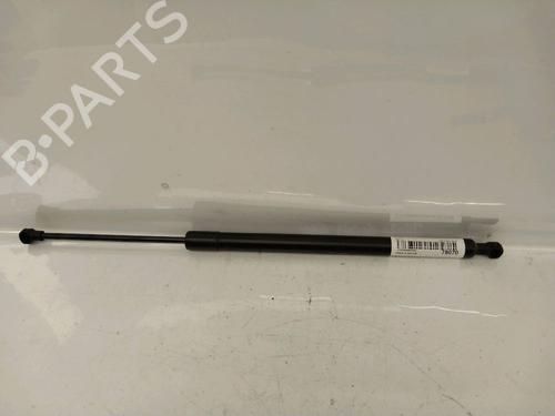 Used Tailgate lift support RENAULT MODUS / GRAND MODUS (F/JP0_) 1.5 dCi (FP0F, JP0F) (86 hp) 30424072