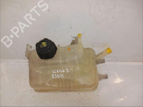 Used Expansion tank RENAULT SCÉNIC III (JZ0/1_) 1.9 dCi (JZ0J, JZ1J, JZ1K, JZ1S) (131 hp) 30413620
