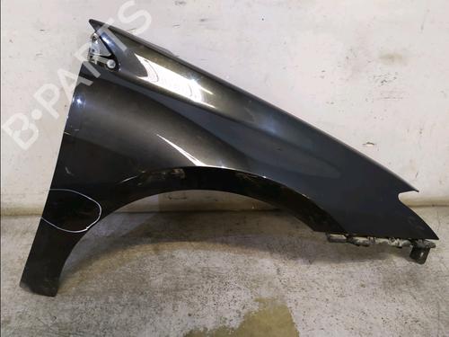 Used Right front fenders RENAULT LAGUNA III (BT0/1) 2.0 dCi (BT07, BT0J, BT14, BT1A, BT1S) (131 hp) 30426269