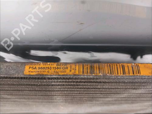 Heater matrix PEUGEOT PARTNER Platform/Chassis | BP30429541M63