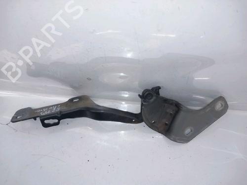 hingedoor-check-strap-renault-clio-iii-br01-cr01-2005-2006-2007-2008-2009-2010-2011-2012-2013-2014-30414058 main image