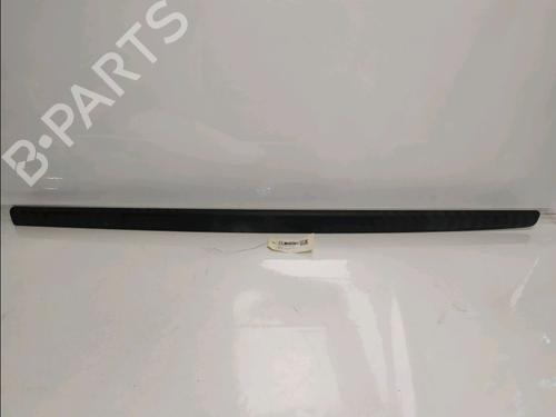 door-moulding-trim-renault-twingo-ii-cn0_-2007-39233006 main image