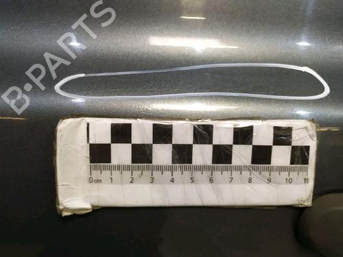 Left front door NISSAN MICRA III (K12) 1.5 dCi | BP30414982C2