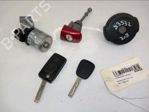 Used Electronic module PEUGEOT 308 I (4A_, 4C_) 1.6 HDi (109 hp) 30419971