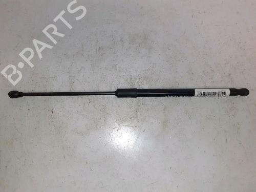 Used Tailgate lift support RENAULT CLIO V (B7_) 1.3 TCe 130 (B7MF) (131 hp) 30421001