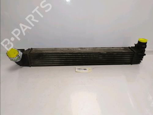 Used Intercooler Intercooler RENAULT GRAND SCÉNIC III (JZ0/1_) 1.5 dCi (JZ09, JZ0D, JZ10, JZ14, JZ1G, JZ29, JZ2C) (110 hp) 40212373 40212373