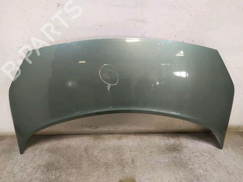 Used Hood RENAULT SCÉNIC II (JM0/1_) 1.6 (JM0C, JM0J, JM1B) (113 hp) 30421673