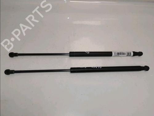 tailgate-lift-support-fiat-500-312_-2007-39259703 main image